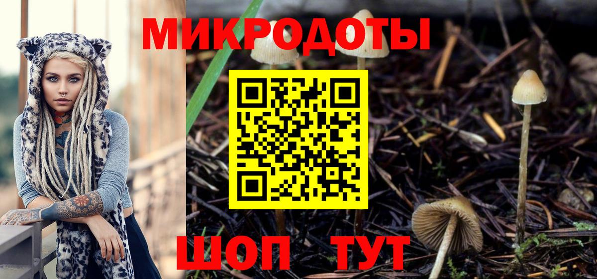 Псилоцибиновые грибы Cubensis Мытищи